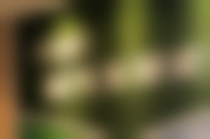 常州泽明眼科医院的简介