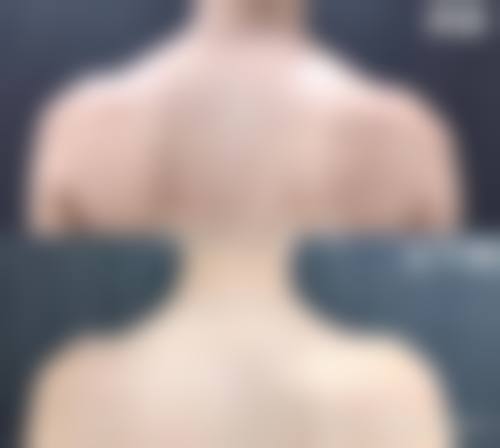 特色项目与优势:聚焦需求,成效自然