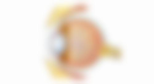 诊疗特色总结