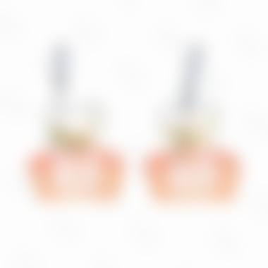 启东皓齿口腔门诊有限公司项目优势。