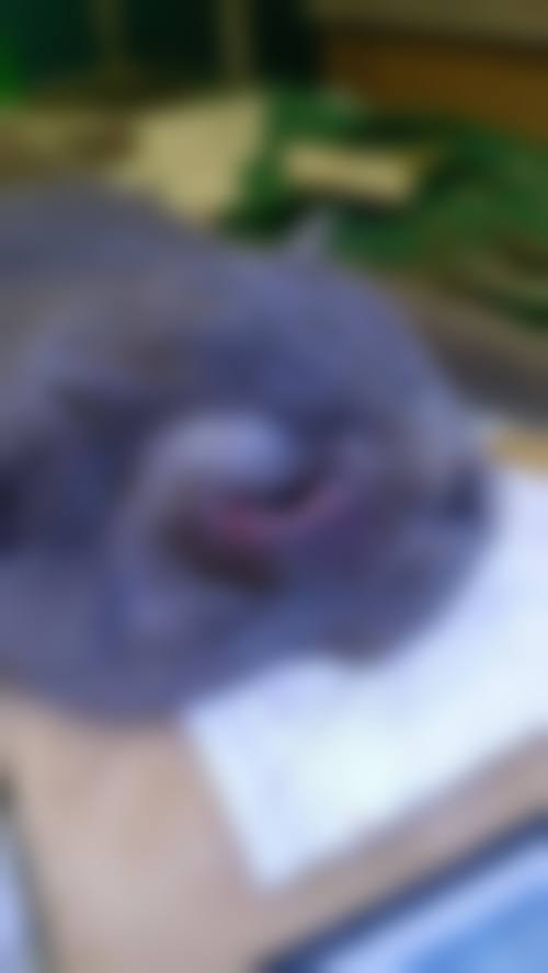 总结与预约号召