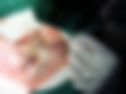 在杭州丽星整形医院,金荣敏医生擅长哪些项目?